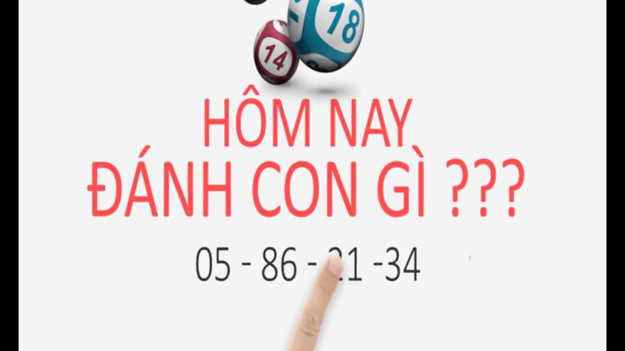 Hôm nay đánh con gì đẹp nhất? Cách đánh lô đề Miền Bắc chuẩn xác